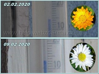 februar 2020